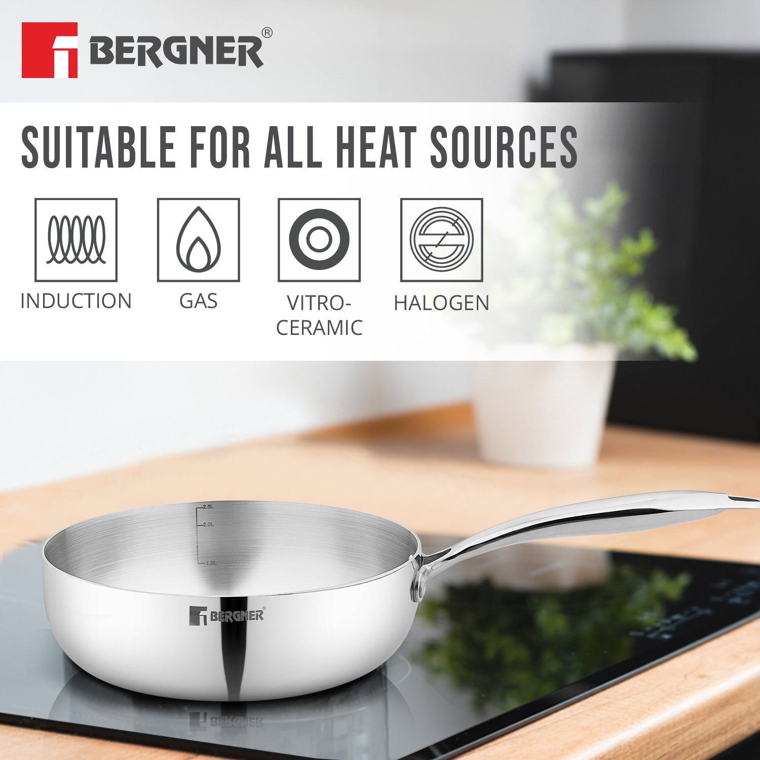 Argent Saira 22cm (2.5L) Multi frypan