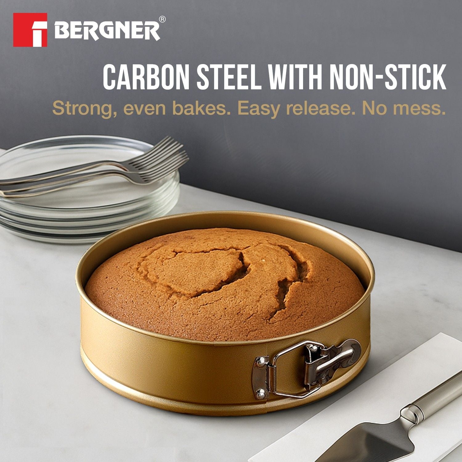 Cento Carbon Steel Round 24cm Spring Form