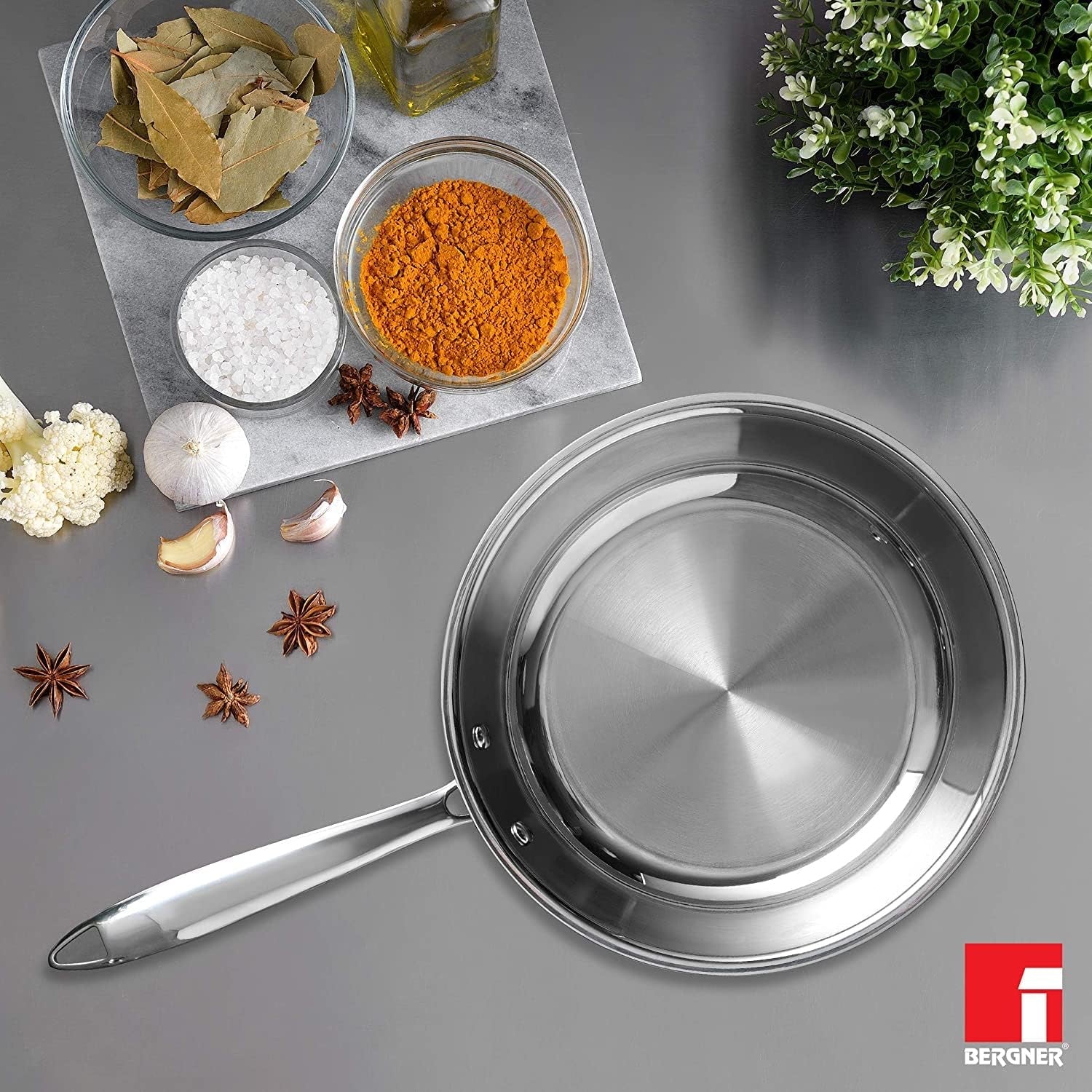 TriPro Tri-Ply Stainless Steel 20 cm Frypan
