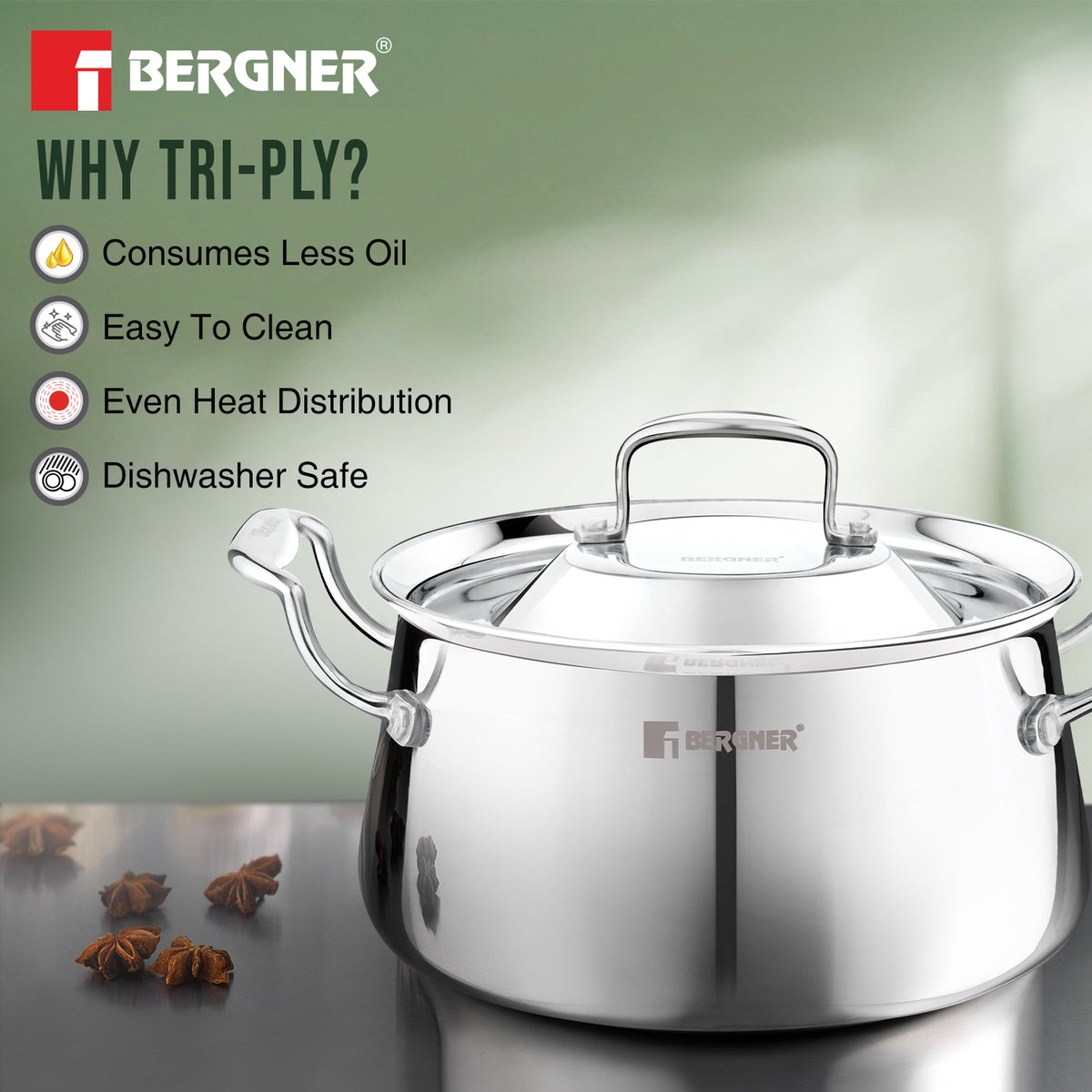 Argent Samsara Tri-Ply Stainless Steel Biryani Handi - Induction Bottom