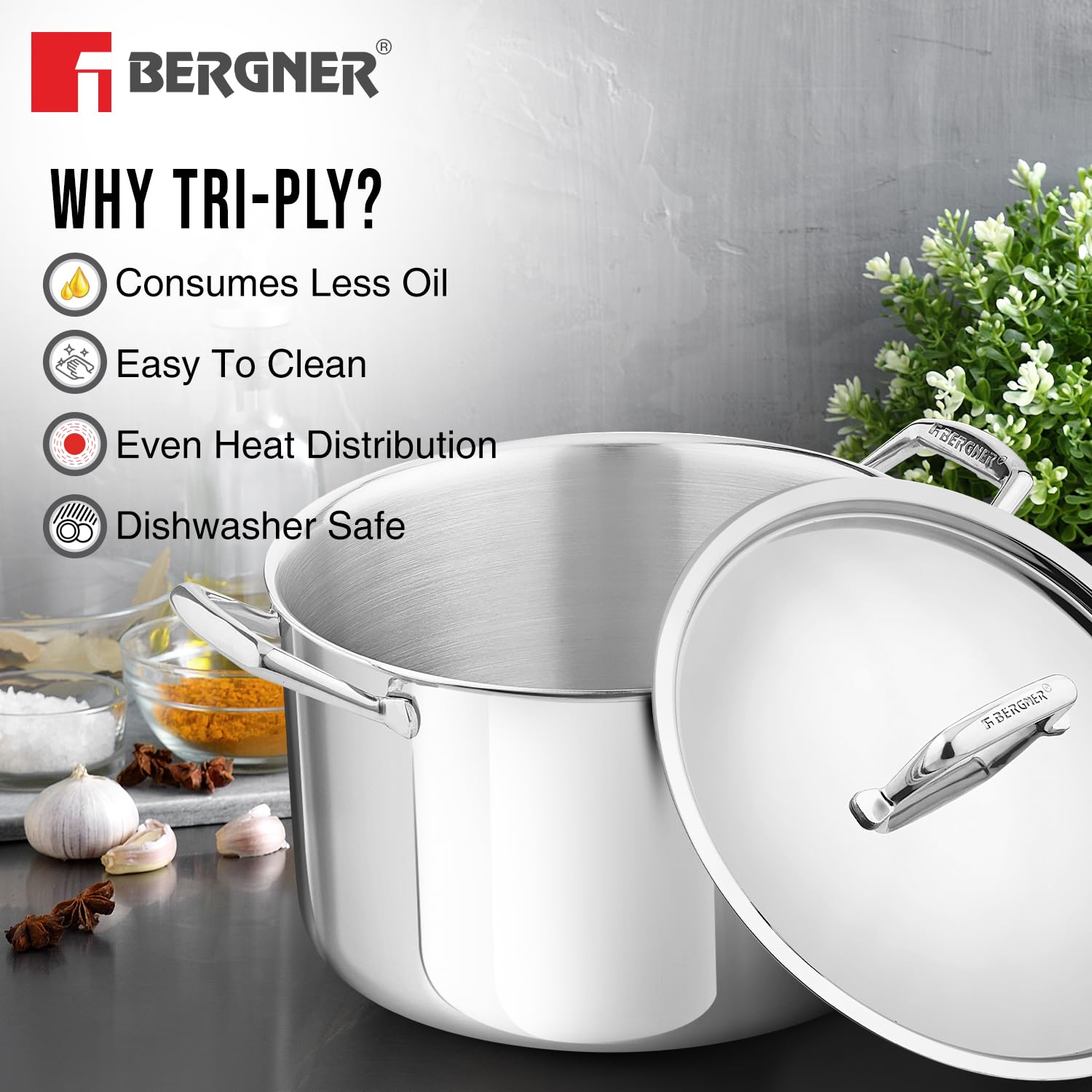 Argent Plus TriPly Stainless Steel 24cm (5.3L) Biryani Pot - Full Induction