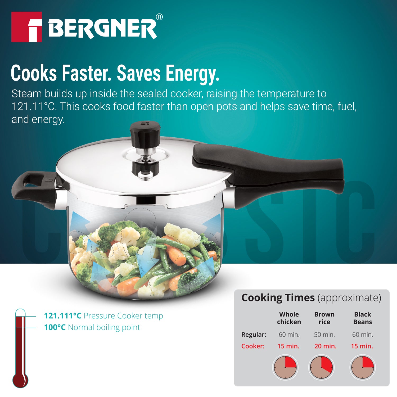 Argent Classic Pressure Cooker 10L Triply